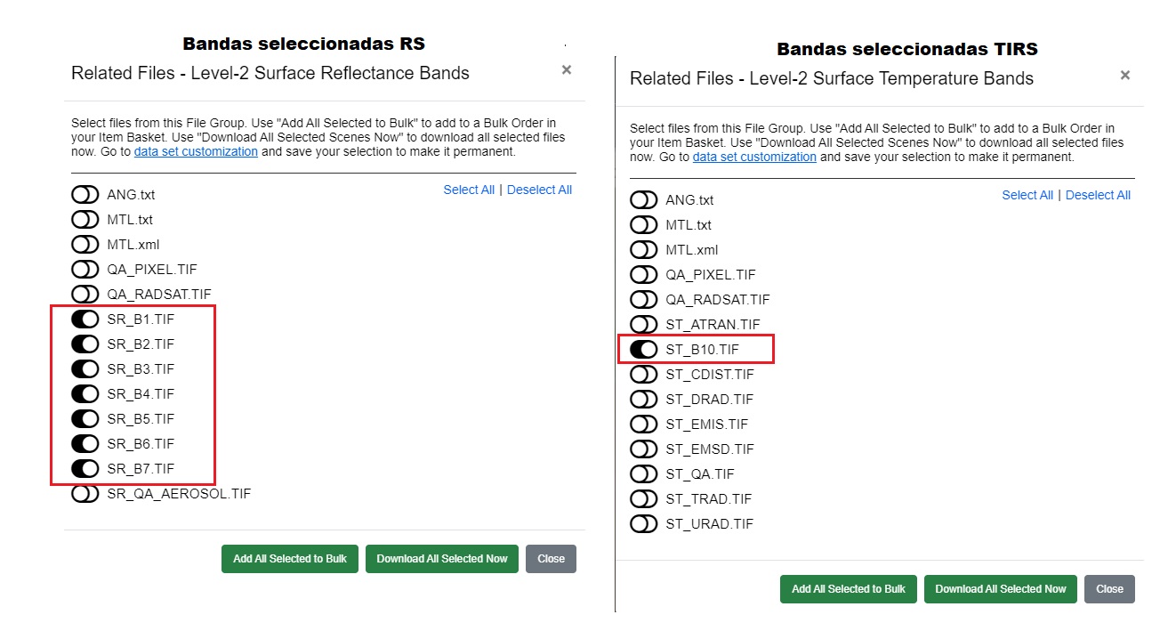 Detalle del bundle de descarga