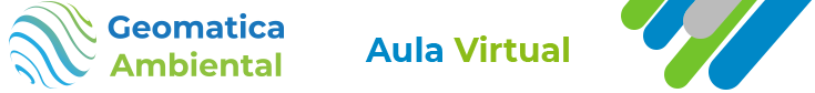 Aula Virtual